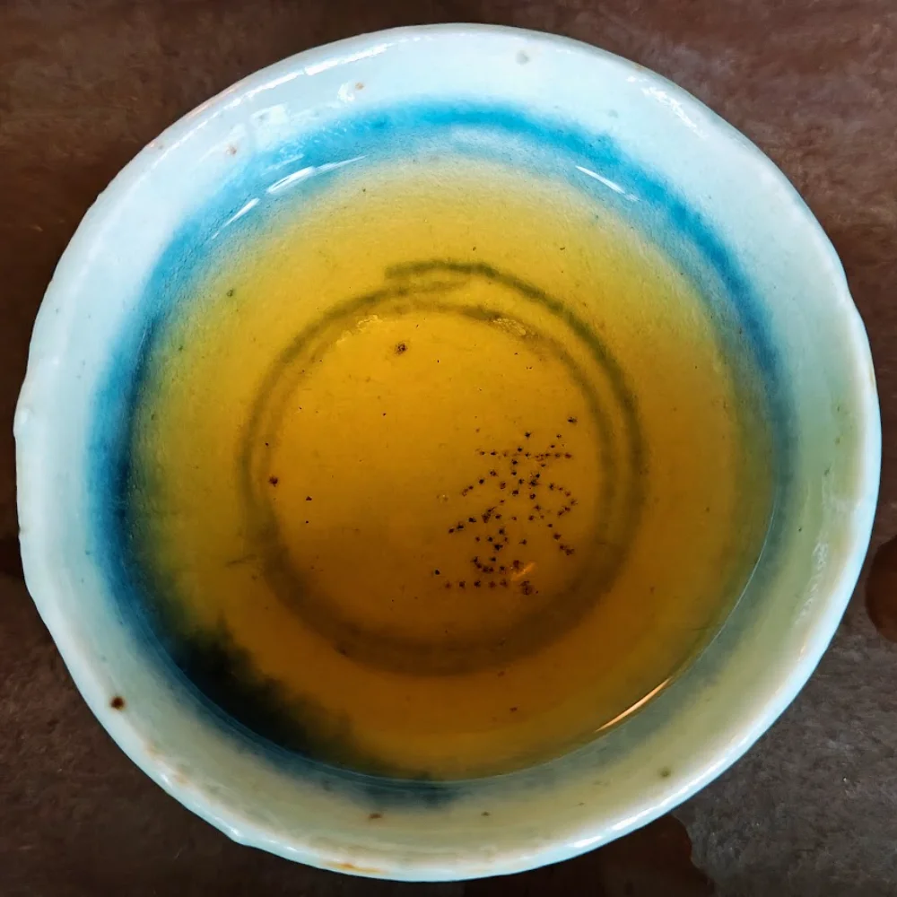 Forest Gaba brewed