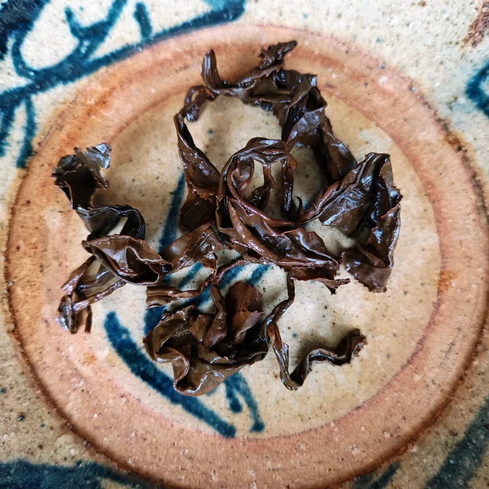 Forest Gaba steeped leaf