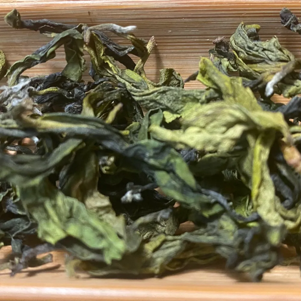 Pure Green leaf