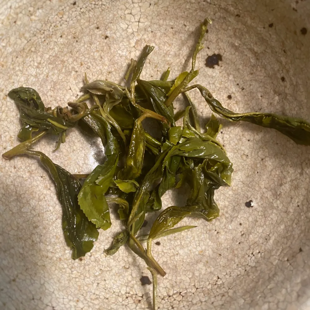 Pure Green steeped leaf